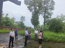 大足区政协副主席李德芬调研森林防火工作